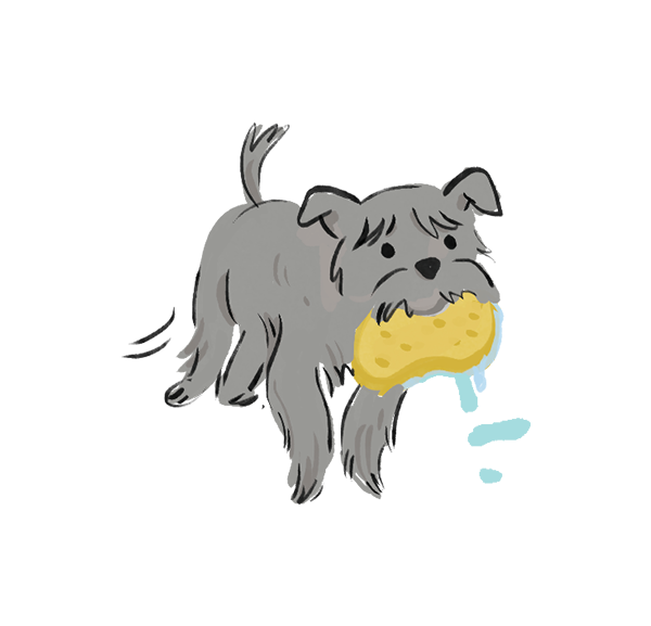 A shaggy, grey cartoon dog carries a dripping sponge for the "keep it watered" EDP activity.