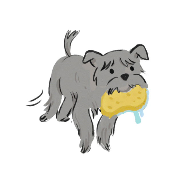 A shaggy, grey cartoon dog wags his tail while carrying a dripping sponge.